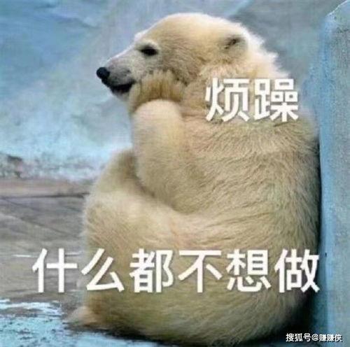 吃瓜到隔壁照片,一张照片引发的窥探之旅