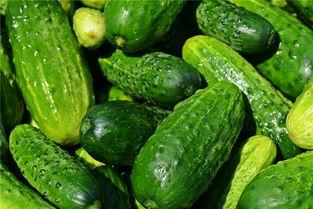 梦到吃黄色的瓜,探寻黄色瓜果的神秘寓意