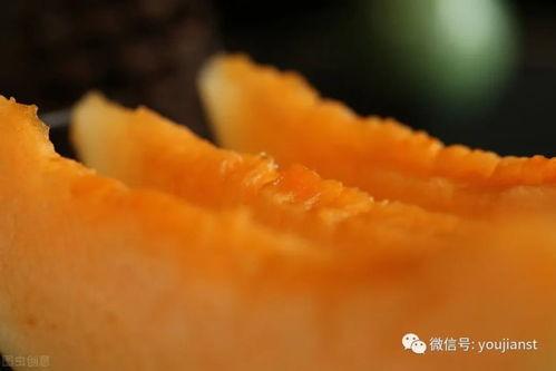 认真吃瓜壁纸,揭秘“认真吃瓜”壁纸背后的趣味人生