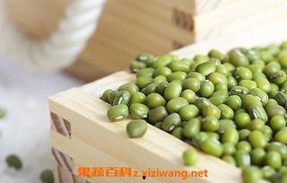 吃绿豆可以吃刺瓜吗女生,女性养生饮食搭配指南