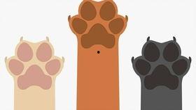 吃瓜凑热闹素材,揭秘娱乐圈那些吃瓜群众的凑热闹故事