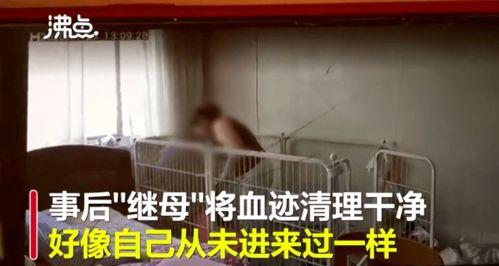 tt吃瓜房间,一场娱乐圈的狂欢盛宴