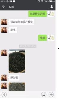 吃瓜直播间的瓜集套路,瓜集套路大揭秘